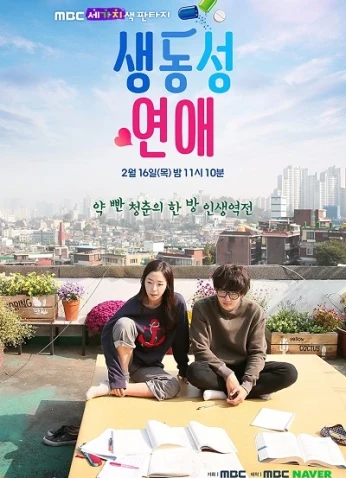 Romance Full Of Life