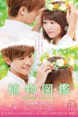 فيلم Evergreen Love 2016