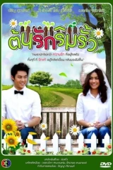 Love Started At The Fence