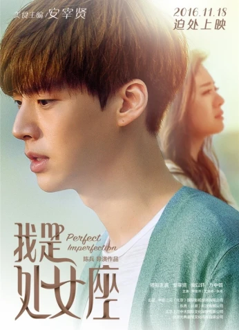 فيلم Perfect Imperfection 2016