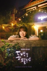 When the Camellia Blooms / عندما تتفتح أزهار الكاميليا