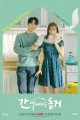 My Roommate Is Gumiho / رفيقي بالسكن جوميهو