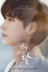 مسلسلات الدراما الكورية