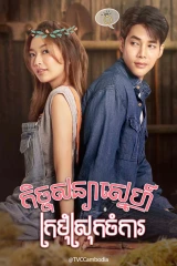 The Wedding Contract / عقد الزواج