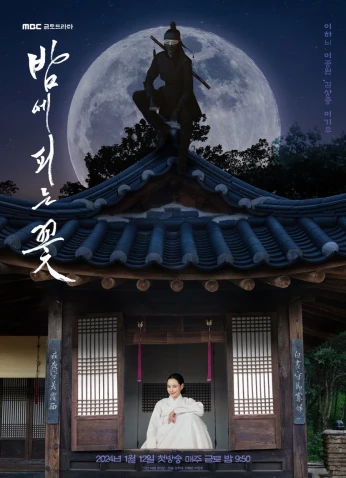 Knight Flower / زهرة الفارس