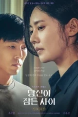 فيلم While You Were Sleeping / بينما كنت نائما 2024