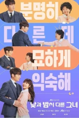 She Is Different Day And Night / إنها مختلفة ليلاً ونهاراً