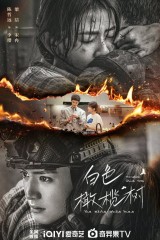 الدرما التايوانية والصينية والفلبينية