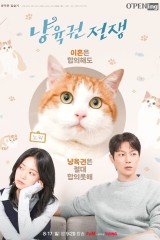 The Catstody War / حرب حضانة القطة