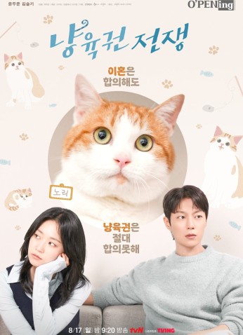 The Catstody War / حرب حضانة القطة